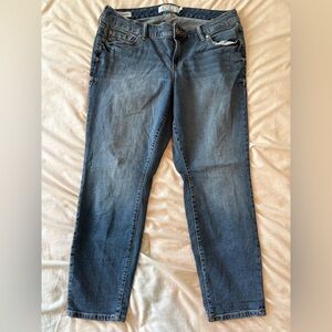 Torrid Women's Straight Leg Jeans - Blue